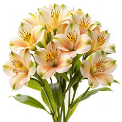 Similar image 22327214