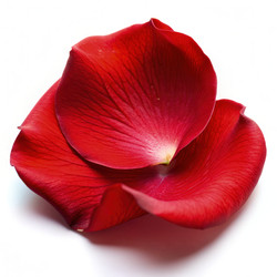 Similar image 22327500