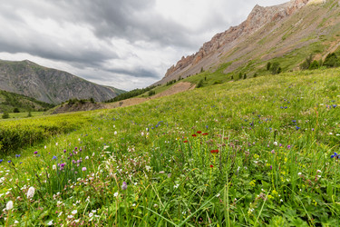 Similar image 22298758