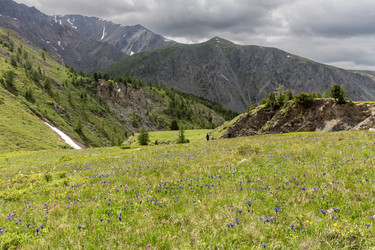 Similar image 22298759