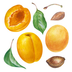 Similar image 22332689