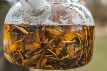 Similar image 22293746