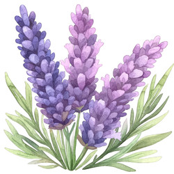 Similar image 22297179