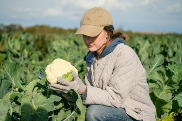 Similar image 22292783