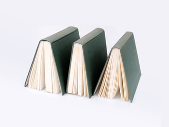 Similar image 22319301