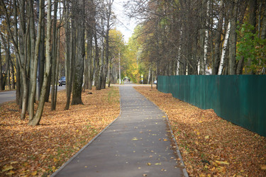 Similar image 22290026