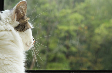 Similar image 22290027