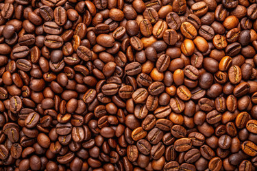 Similar image 22300065