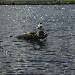 Similar image 22316139