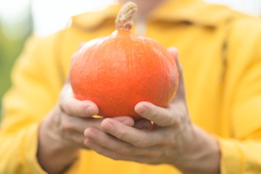 Similar image 22292786