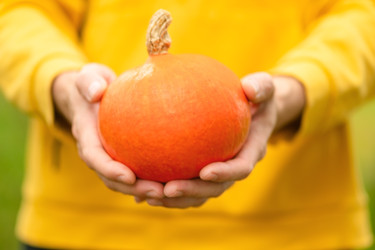 Similar image 22292787