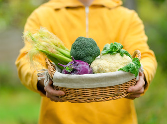 Similar image 22292793