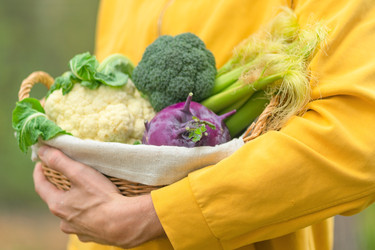 Similar image 22292795