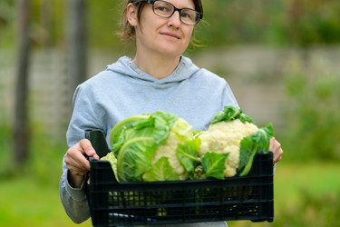 Similar image 22292797