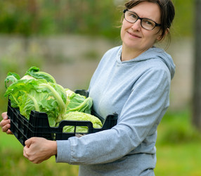 Similar image 22292798