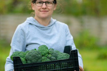 Similar image 22292799