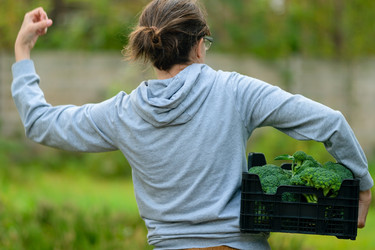 Similar image 22292800