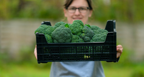 Similar image 22292801