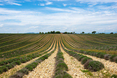 Similar image 22298771