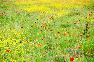 Similar image 22298772