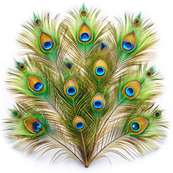 Similar image 22327215