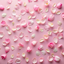 Similar image 22327520