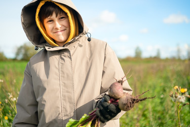 Similar image 22292822