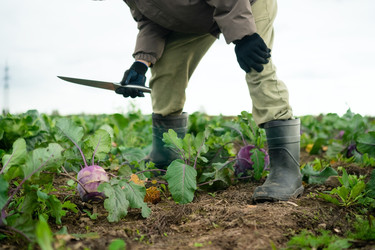 Similar image 22292823