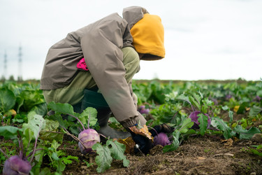 Similar image 22292825