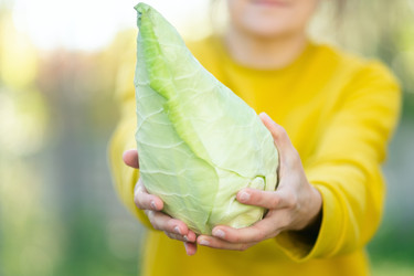 Similar image 22292830