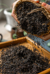 Similar image 22327624