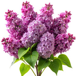 Similar image 22299823