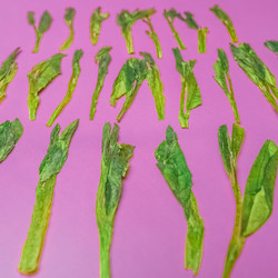 Similar image 22329188