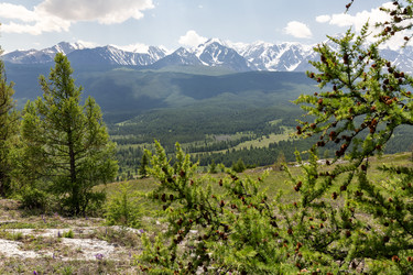 Similar image 22298294