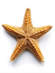 Similar image 22300099