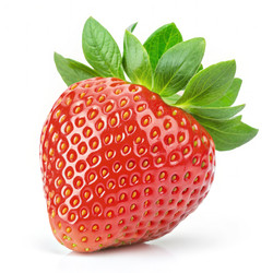 Similar image 22300109