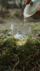 Similar image 22293539