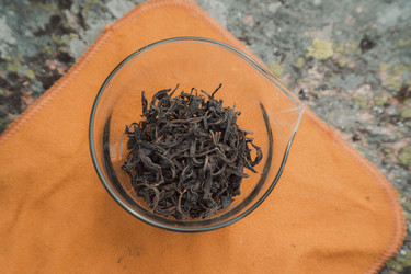 Similar image 22293817