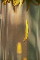 Similar image 22293839