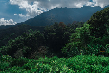 Similar image 22294065