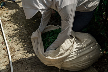 Similar image 22296882