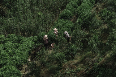 Similar image 22296747