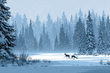 Similar image 22297576