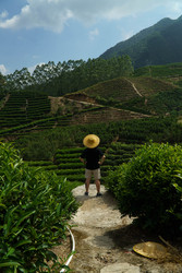 Similar image 22293841