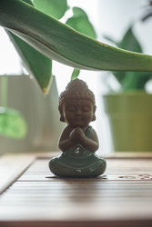 Similar image 22293843