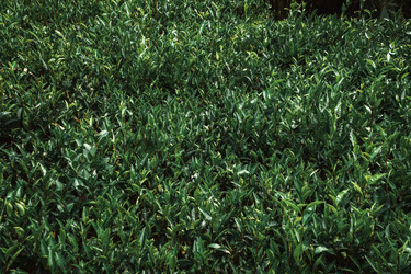 Similar image 22293844