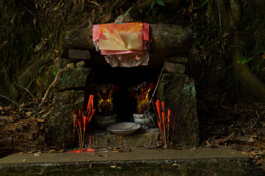 Similar image 22293845