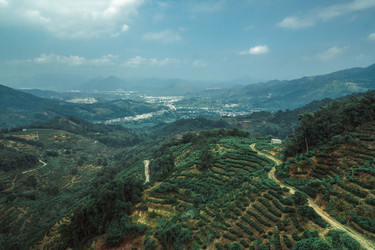 Similar image 22293846