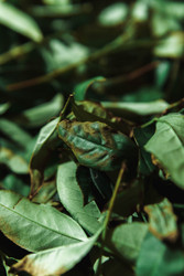 Similar image 22293849