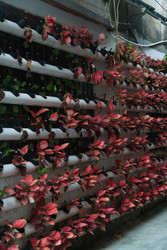 Similar image 22296748